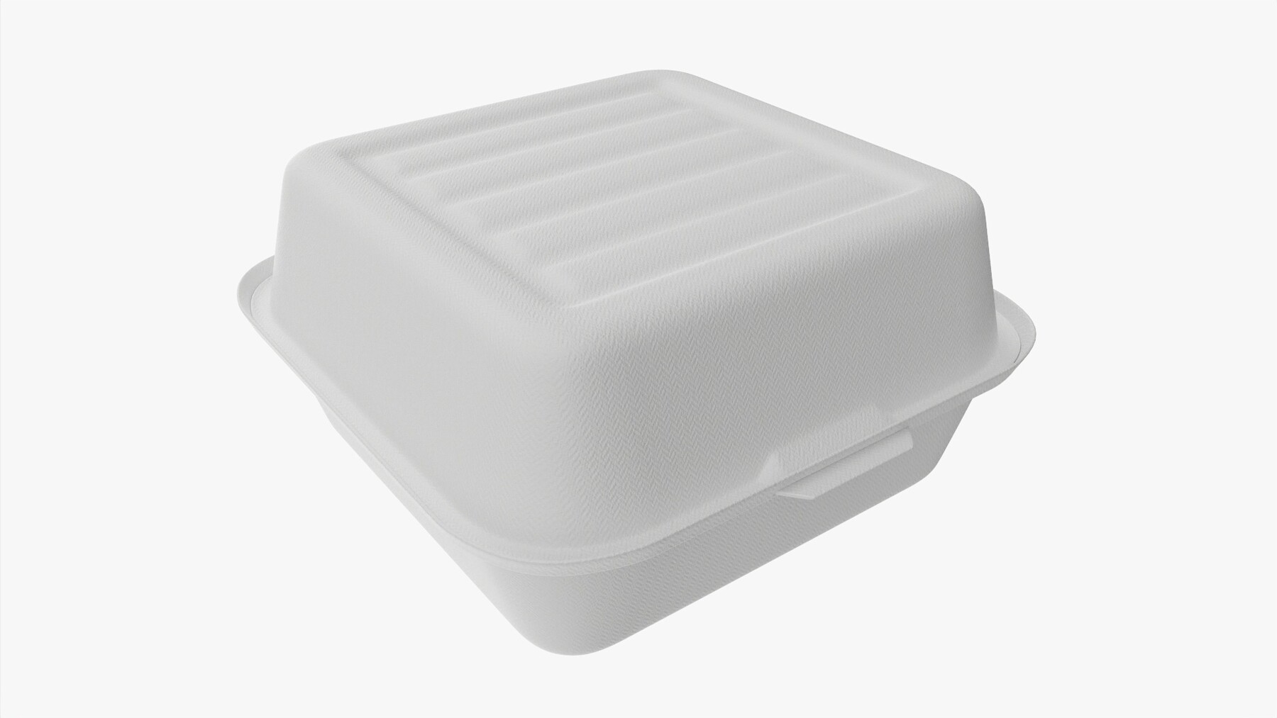 Disposable - Food Styrofoam Container 3D model