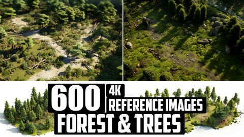 600 Forest & Trees -Reference Images-4K