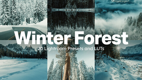 20 Winter Forest LUTs & Lightroom Presets