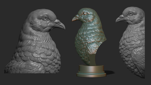 Pigeon bust