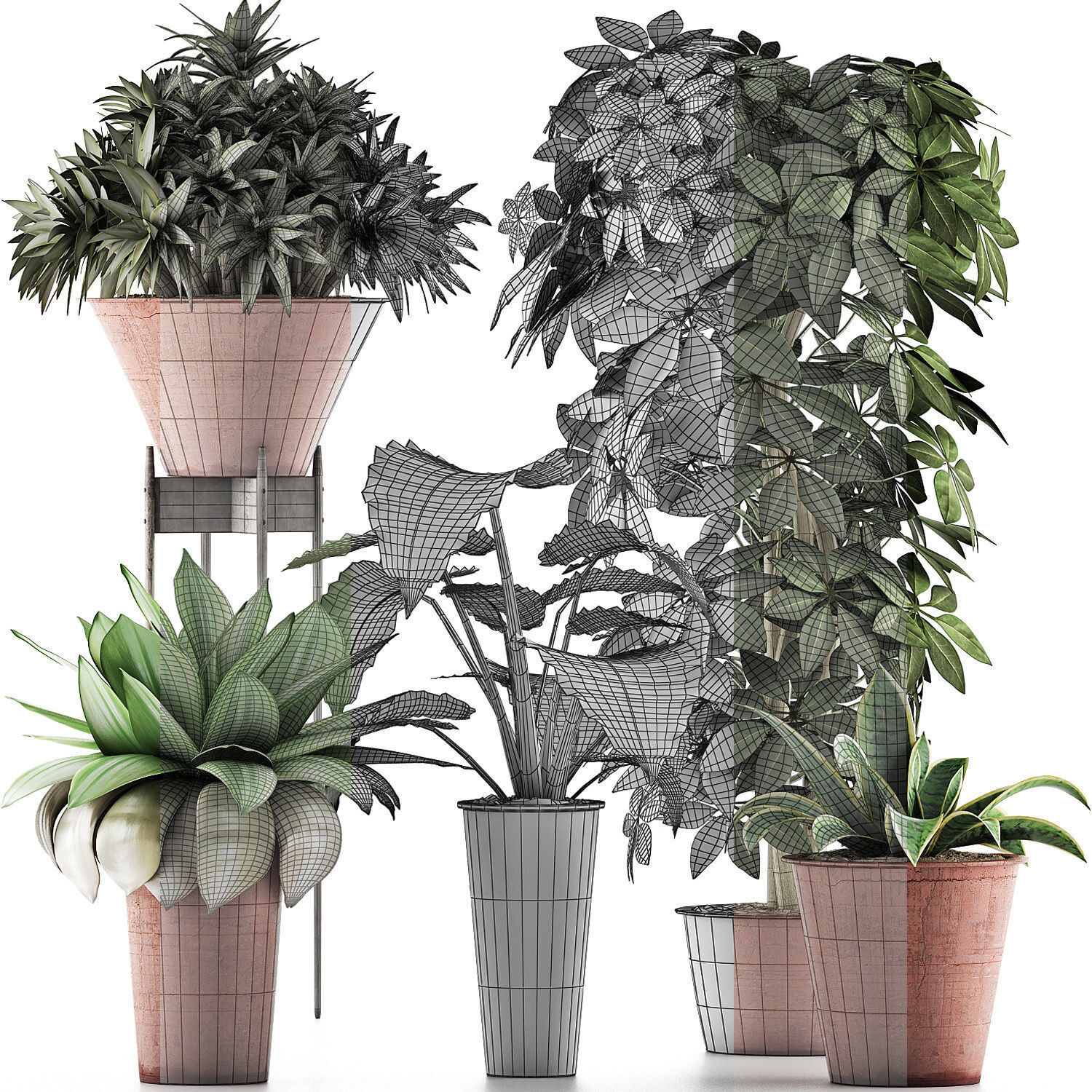 Collection 35. Plants photos for 3d Max.