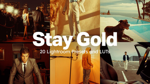 20 Stay Gold LUTs & Lightroom Presets