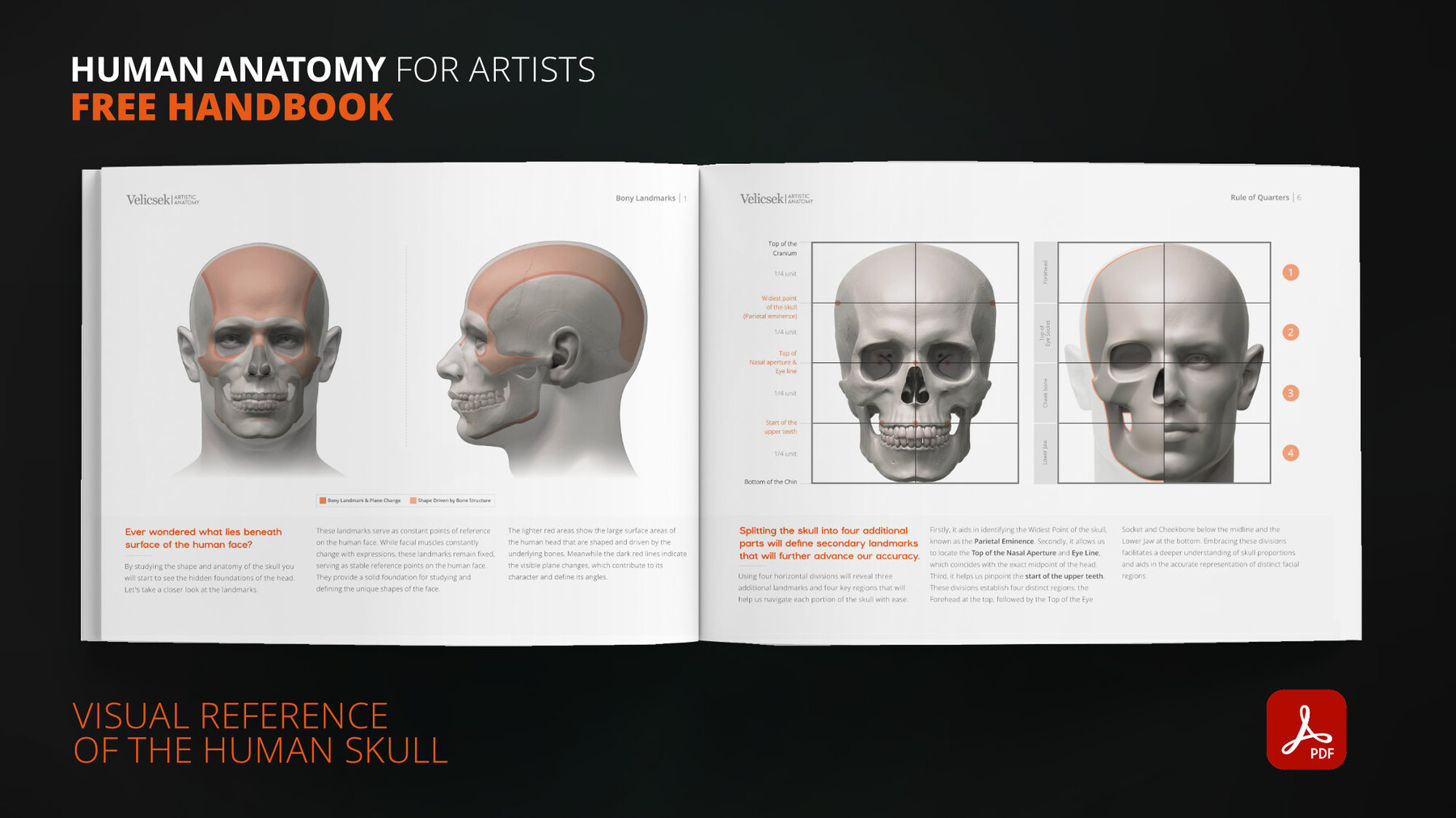 ArtStation - Free E-book: Human Anatomy for Artists 