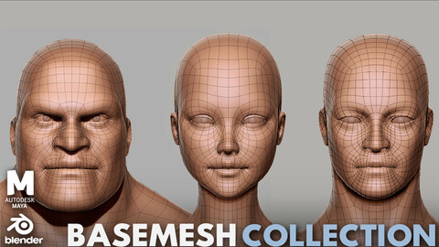 3 BaseMesh  Collection ( Male, Female, Muscular man ) - Topology + UV Map