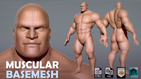 Muscular Male BaseMesh - Topology + UV map