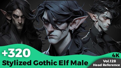 +320 Stylized Gothic Elf Male Head Reference(4k)