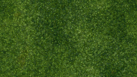 Moss Seamless Texture Patterns 2k (2048*2048) | PNG 4 | JPG 4 File Formats All Texture Apply After Object Look Like A 3D