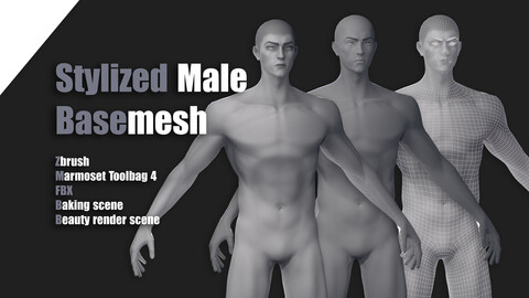 Stylized Male Medium Basemesh