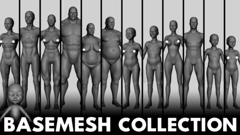 Basemesh Anatomy Collection - Topology + UV map