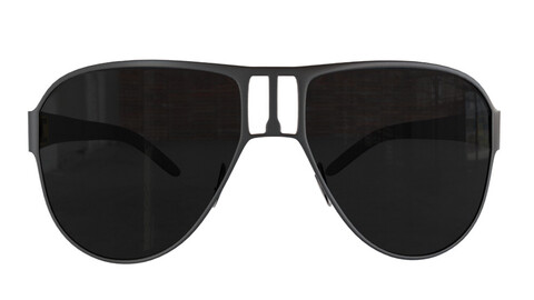 SUNGLASSES NO 5