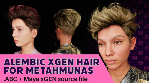 Hair for Metahumans - NIA - Alembic Hair Asset for UnrealEngine5