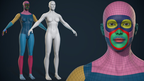 Female Basemesh - Game Ready