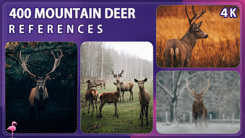 400 Mountain Deer Image Reference Pack – Vol 1