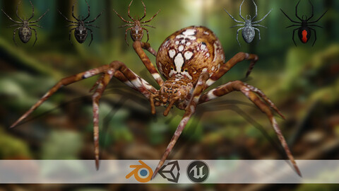 Arachnid Model The 3D Spider Masterpiece Low-poly 3D model