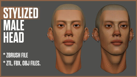 Stylized Male Head 01