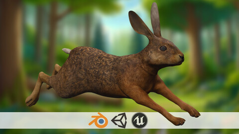 Bouncy Bunny 3D Rabbit Model Realistic hare toon Low-poly 3D model