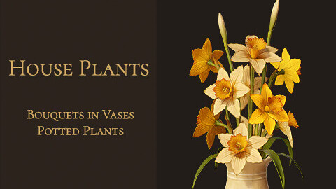 House Plants Pack | Bouquets in Vases and Potted Plants