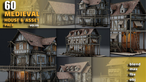 60 + 3D medieval house & asset pack vol 05