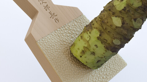 Sharkskin Wasabi Grater Set - Japanese horseradish Low-poly 3D model