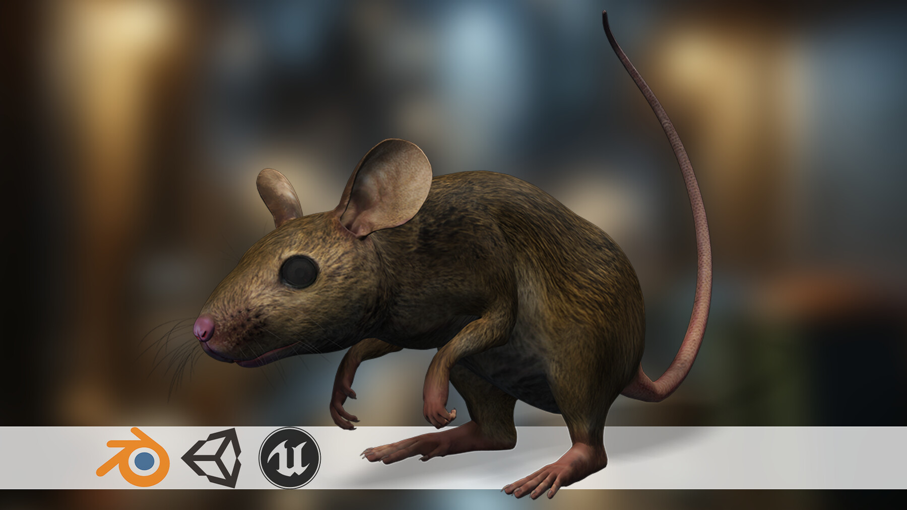 3D Rat