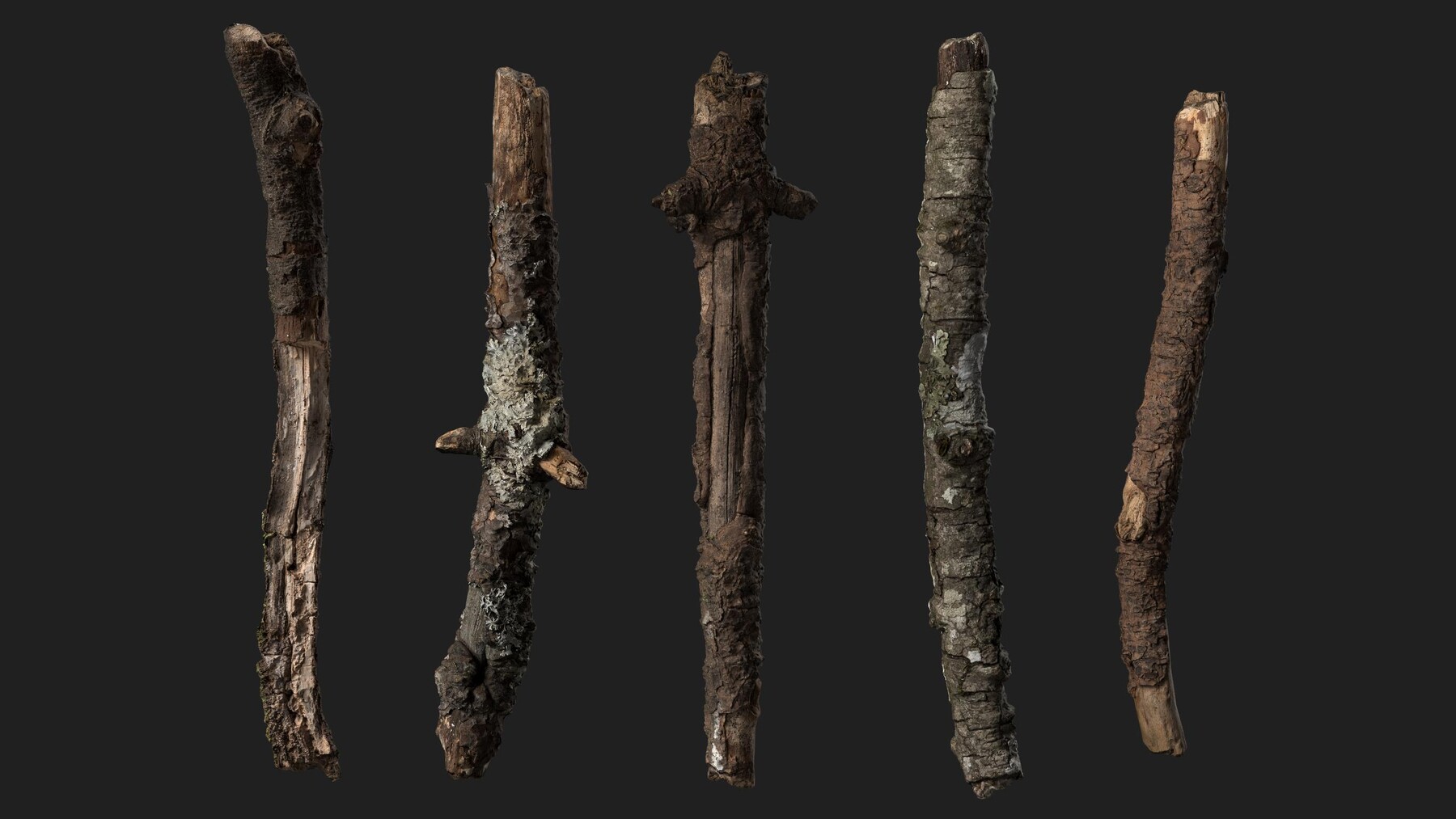 ArtStation - Short Rotten Branches Vol.1 | Game Assets