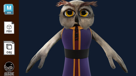 Cartoon Owl Model