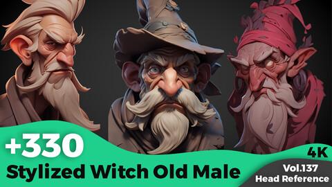 +330 Stylized Witch Old male Head Reference(4k)