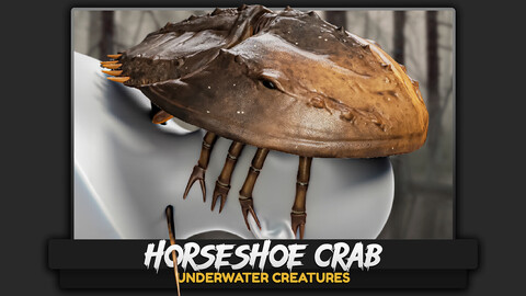 Horseshoe Crab - Trilobite - Low Poly Realistic 3D Model - Rigged Animated Monster - Underwater Creature - #24