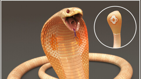 Monoclade Cobra Albino