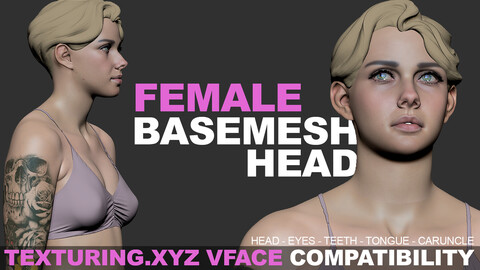 Female Head Basemesh - Vface compatible