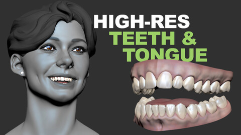 Teeth, Gums, & Tongue - High Resolution