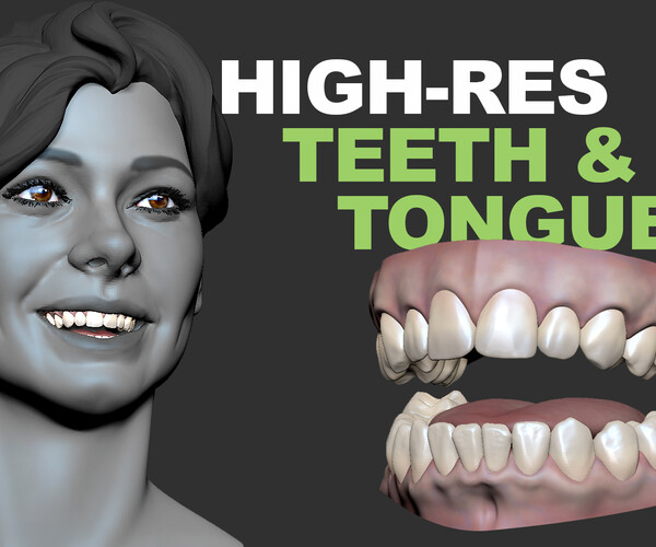 Artstation Teeth Gums And Tongue High Resolution Resources 3296