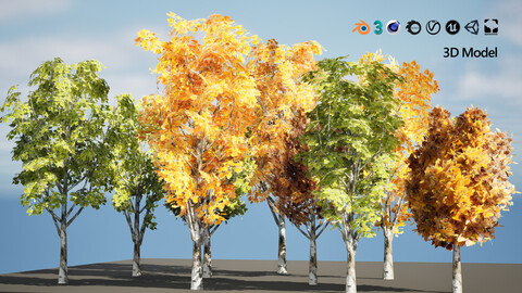 3d collection of 9 low-poly Grijze populier ( Grey Poplar ) trees!