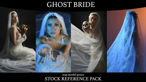 x141  Ghost Bride- Stock Model Reference Pack