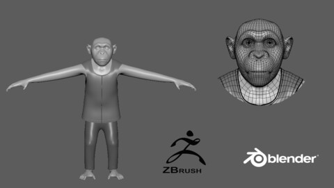 Cartoon Monkey- base mesh