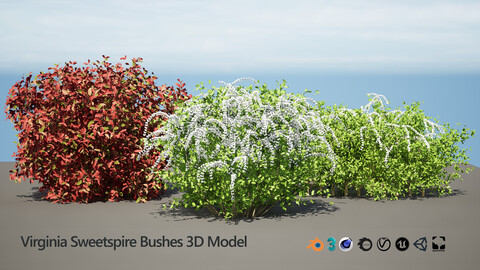 Flowering and fall Little Henry Bushes 3d model