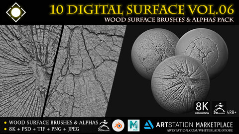 10 Digital Surface Wood Brushes & Alphas Vol.06 - ZBrush/Blender/Mudbox/3dcoat
