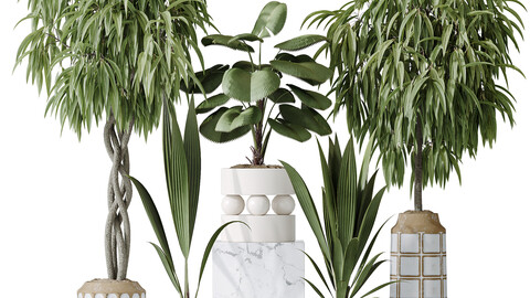 Indoor plant set 01