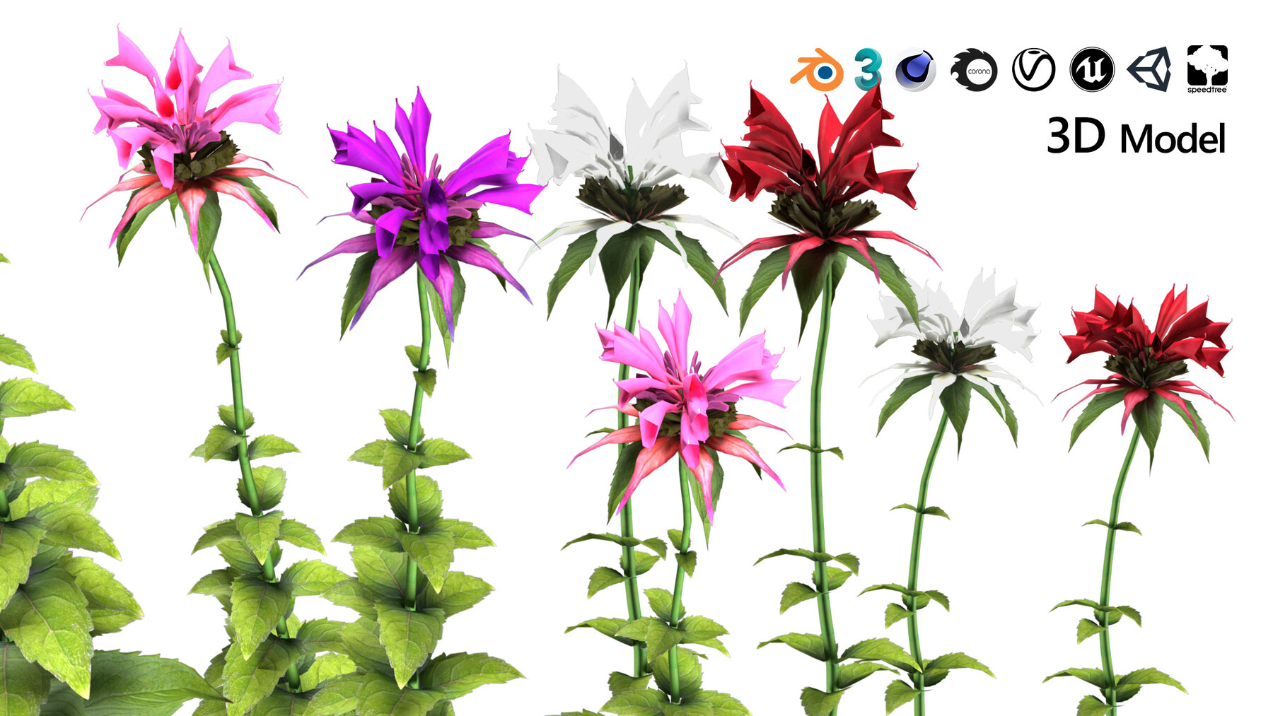 ArtStation - low poly Bergamot flowers 3d model with free tutorial ...