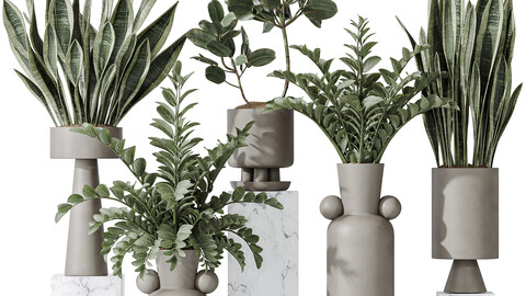 Indoor plant set 05