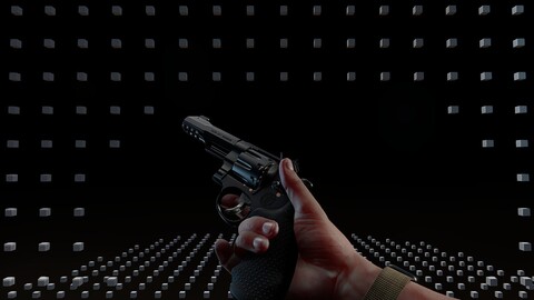 FPS Revolver Animation Set