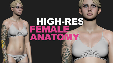 High-res Female Anatomy