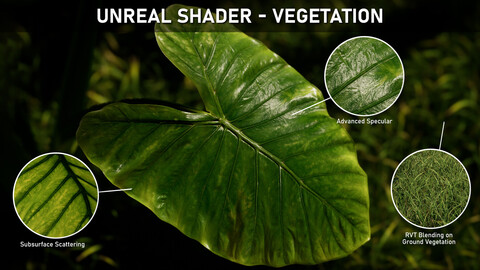 Unreal Shader : Vegetation