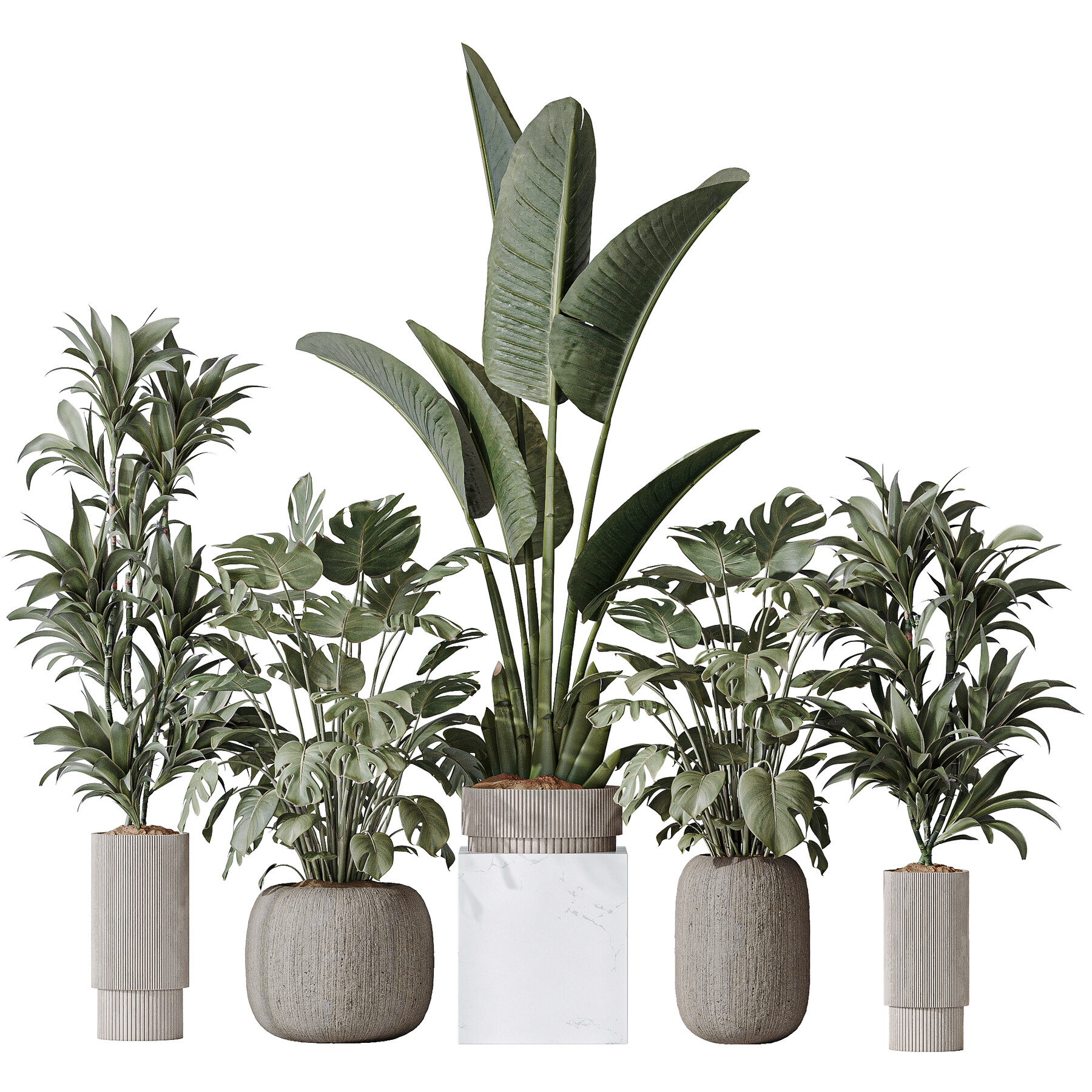 ArtStation - Indoor plant set 08 | Game Assets