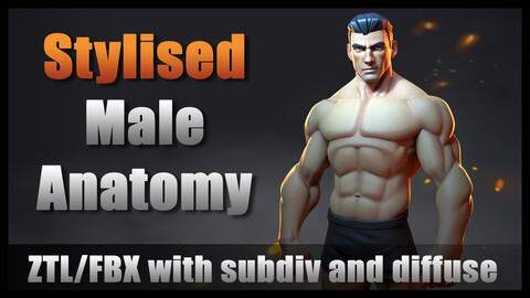 Stylised Male Anatomy