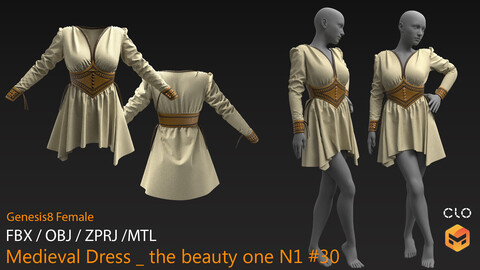 Medieval Dress N1 _ the beauty one #30 _ MarvelousDesigner/CLO Project Files+fbx+obj+mtl + Avatar Genesis8Female