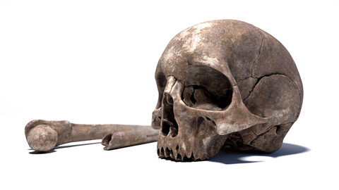 Skull ans Bones – game ready Props