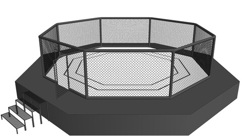 MMA Octagon Ring