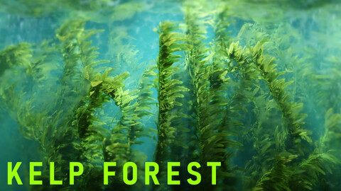 Animated Kelp Forest Environment