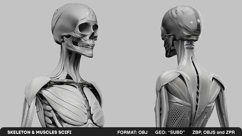 SKELETON & MUSCLES SCIFI  / ANATOMICAL - MEDICAL EQUIPMENTS